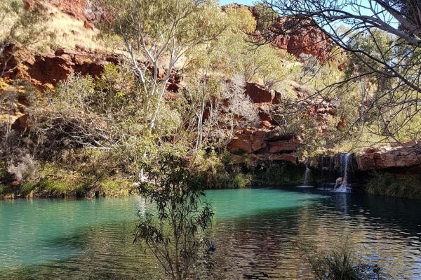 Fern Pool, Western Australia Fern Pool, Western Australia