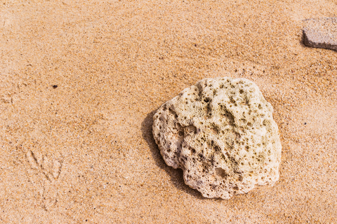 Perth to Coral Bay - Things to do in Coral Bay