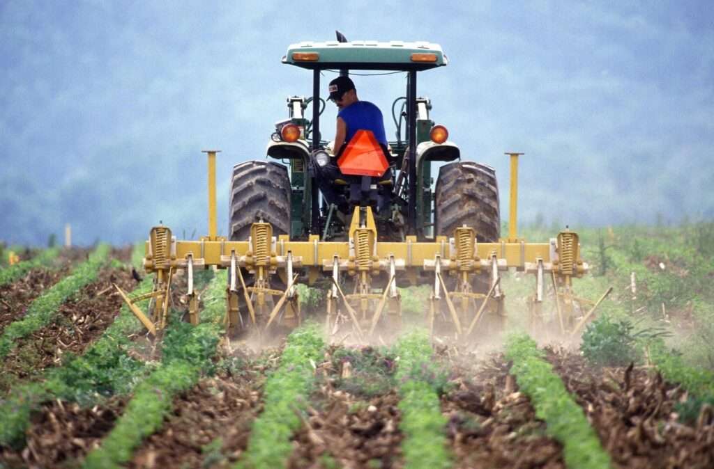 Farm Work Queensland