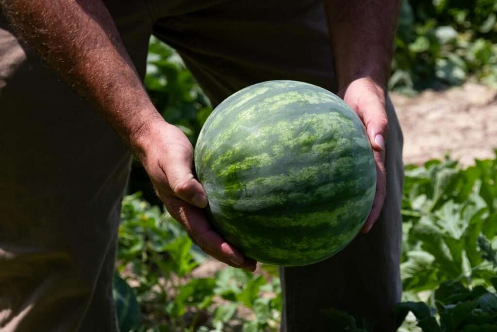 How to Find Farm Work in Queensland