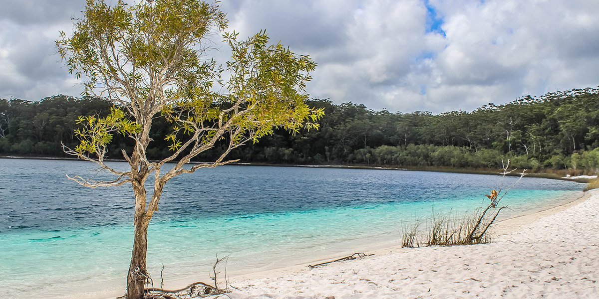 Three Day Fraser Island Tour Hiking and 4WD Adventure From Hervey Bay Three Day Fraser Island Tour Hiking and 4WD Adventure From Hervey Bay