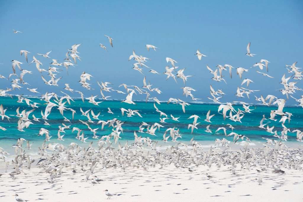 Cape Range National Park