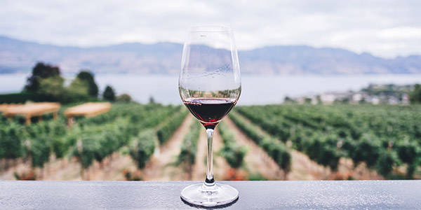 Top 5 Wineries in South Australia