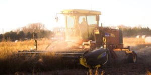 Working Holiday Guide to Finding Farm Work