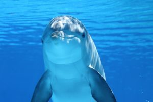 Perth to Broome tours 