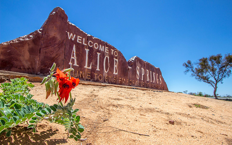 Mulgas Darwin to Alice Springs 2 Day Express Tours from Alice Springs to Ayers Rock