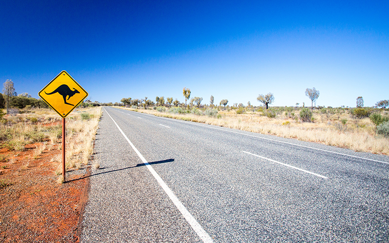 Backpackers guide to uluru