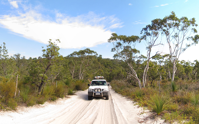 Fraser Island Tours Fraser Island Tours