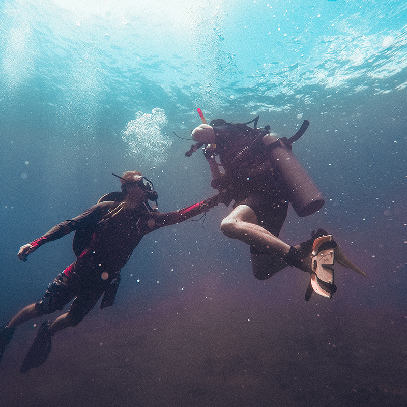 Diving tours in, Rottnest, Esperance, Coral Bay, Jurien Bay, and Geraldton