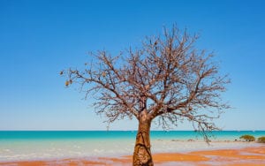 Darwin to Broome Coach Tours