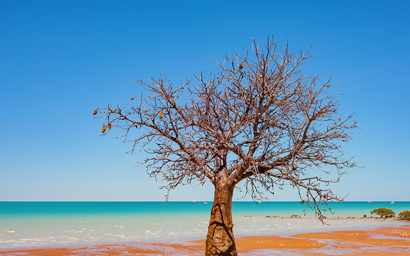 Tour The West Coast Of Western Australia Tour Perth to Broome