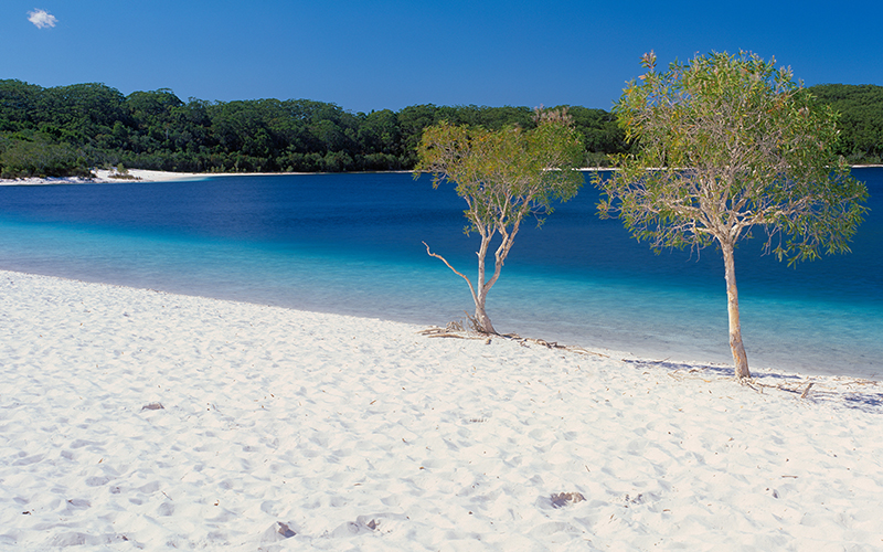 Fraser Island's Lake McKenzie