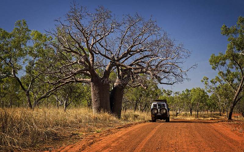 Outback Track at the Kimberleys - Western Australia Darwin to Broome Bus Tour