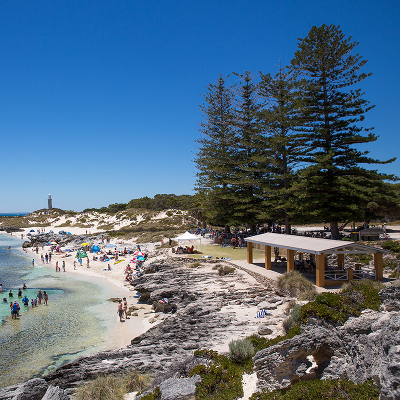 Rottnest Island in Western Australia. Perth to Rottnest Island tour 4 days