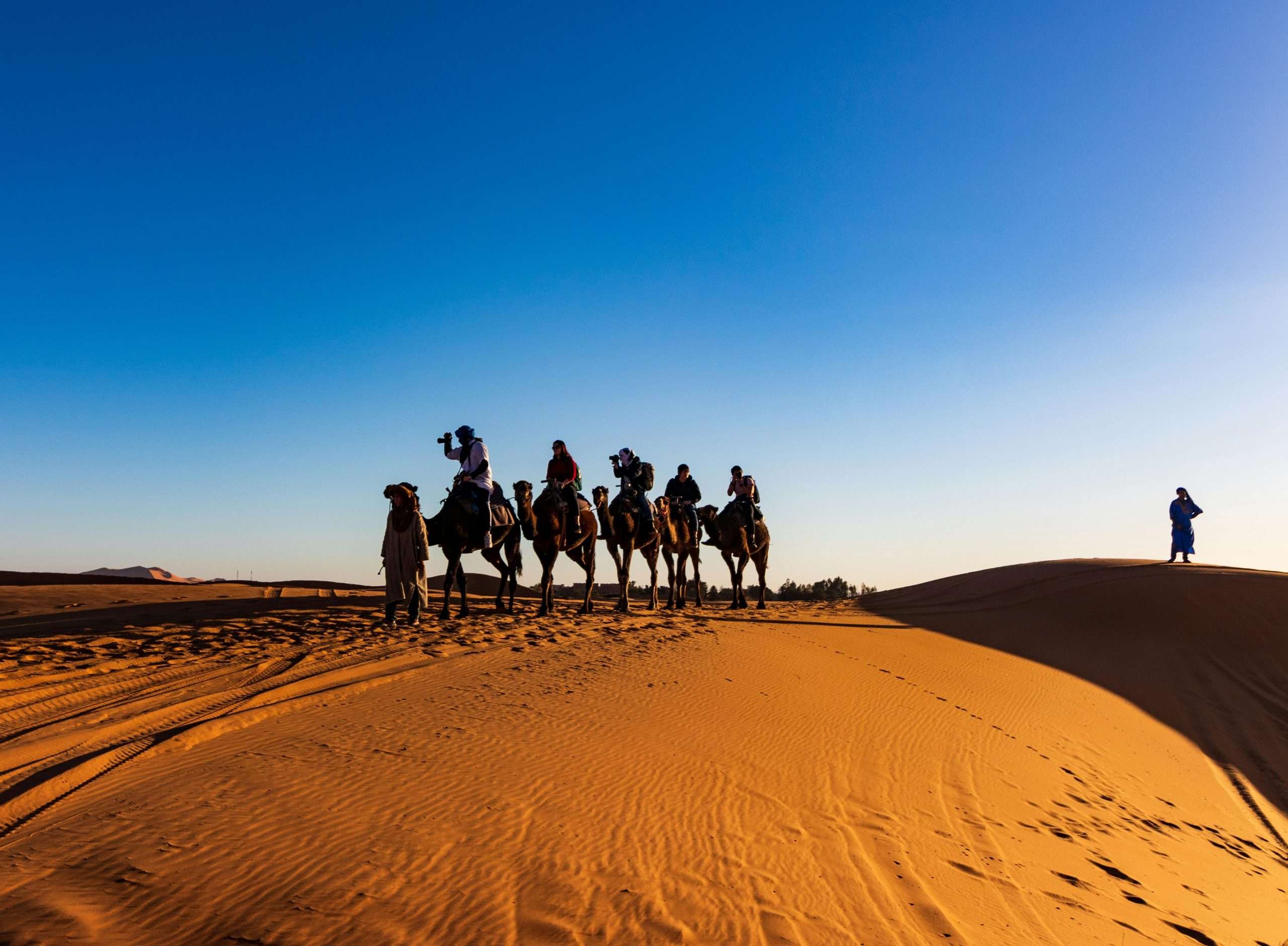 perth to exmouth tour: Safari