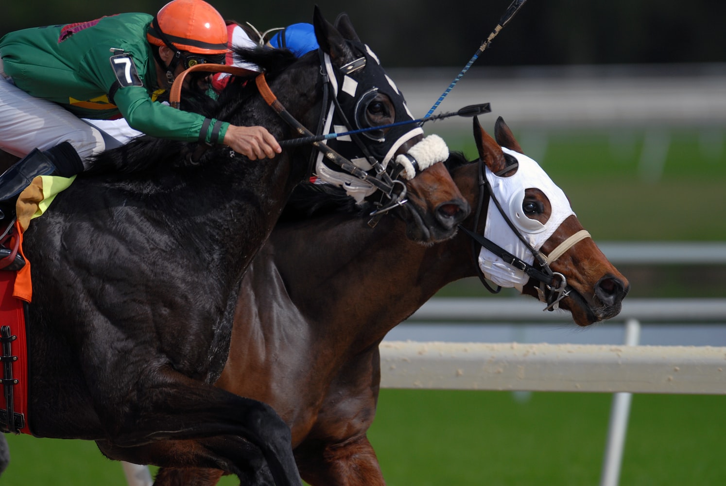 Horse Racing Events in Australia Horse Racing Events in Australia