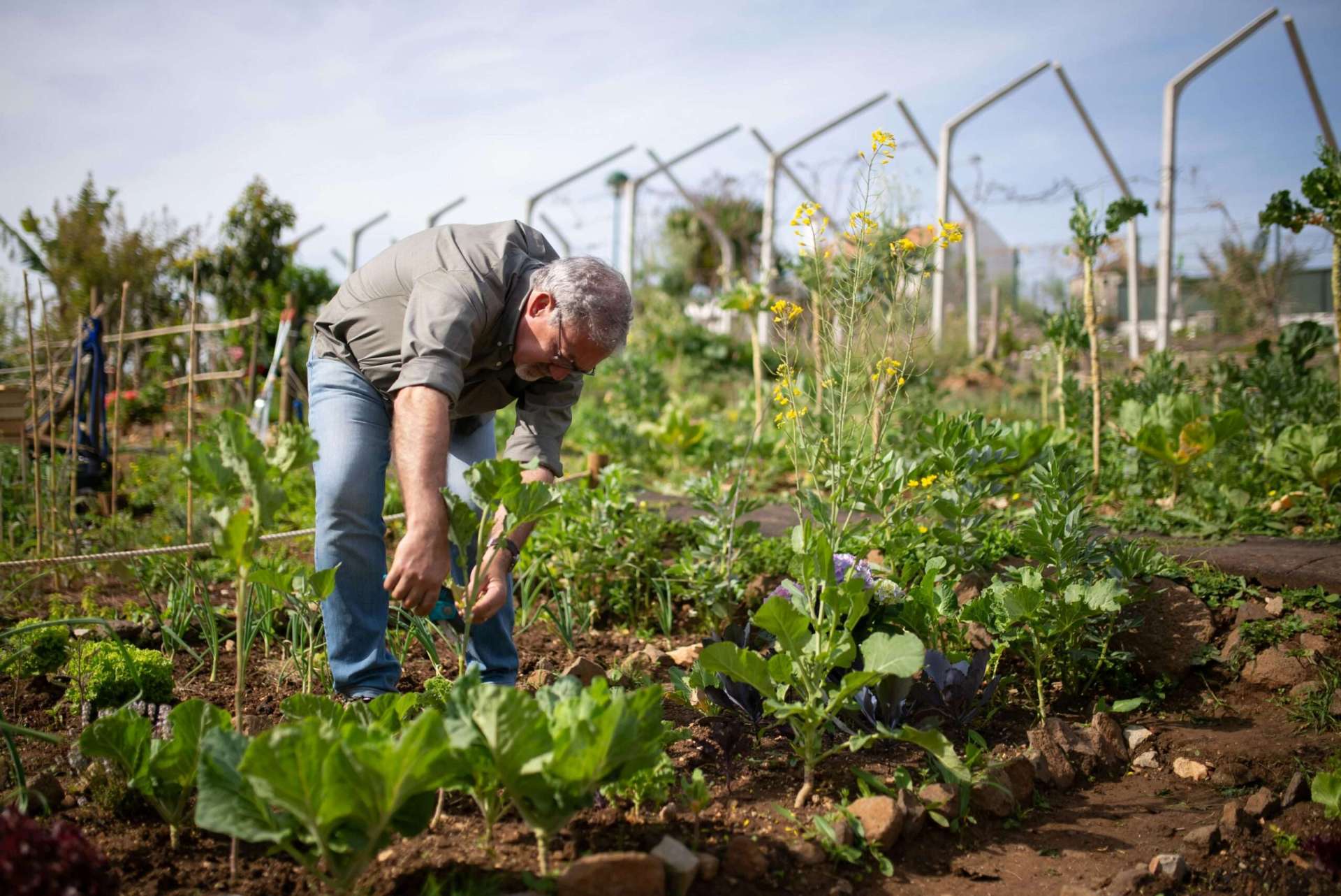 farm work in south australia