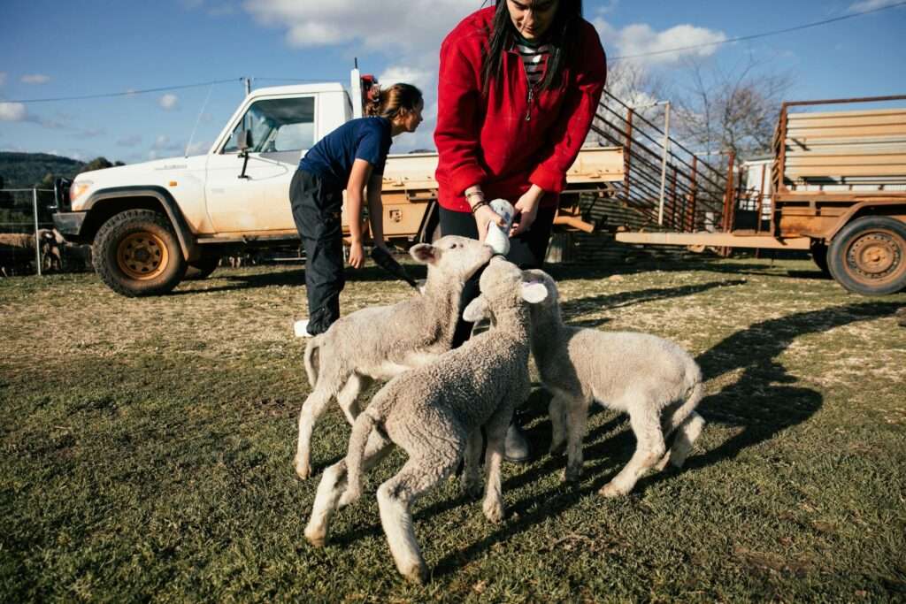 Farm Jobs Australia