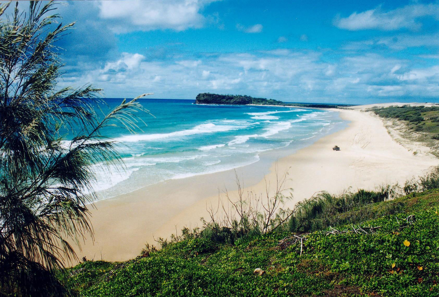 Fraser Island 1 Day Tour East Coast Australia Tours - Fraser Island 1 Day Tour