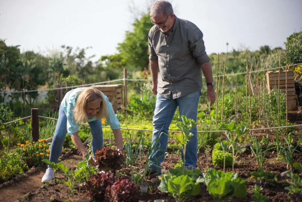 farm work in Tasmania