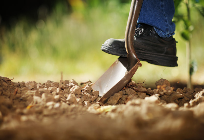 List of Farm Work Agencies in Western Australia List of Farm Work Agencies in Western Australia