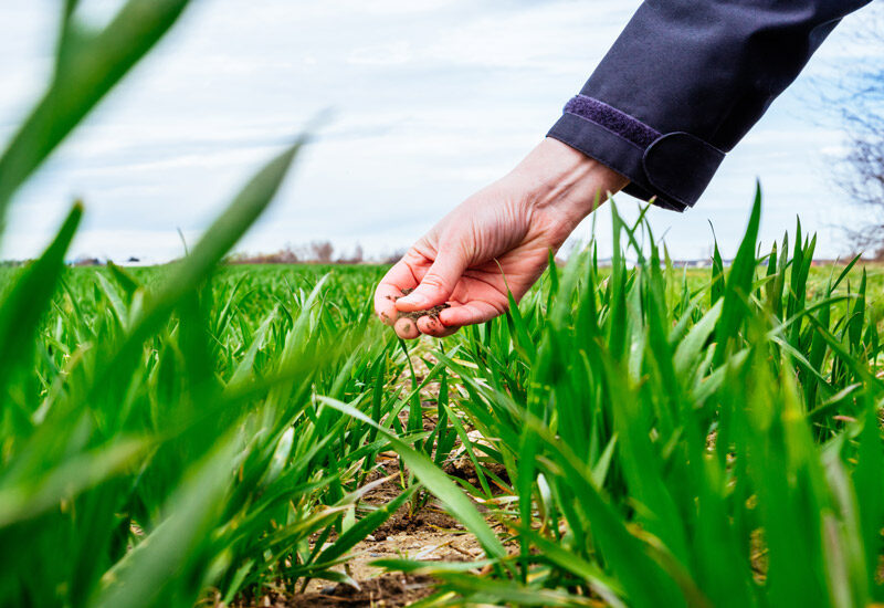 How to find farm work in Western Australia