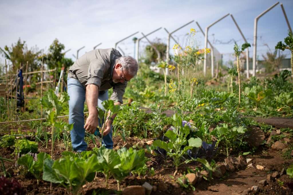 Farm Jobs Australia