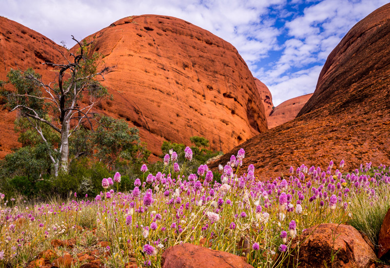 uluru_rock
