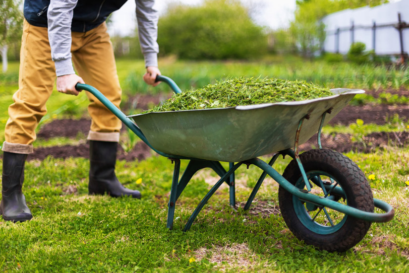 How to find farm work in New South Wales Australia