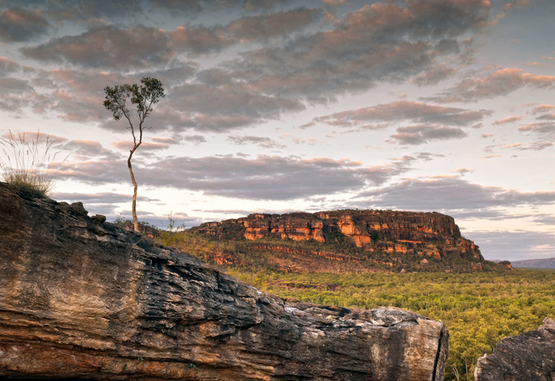 Darwin to Cairns Overland Adventures by Bus or Coach
