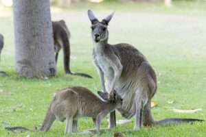 Things to do today in Perth