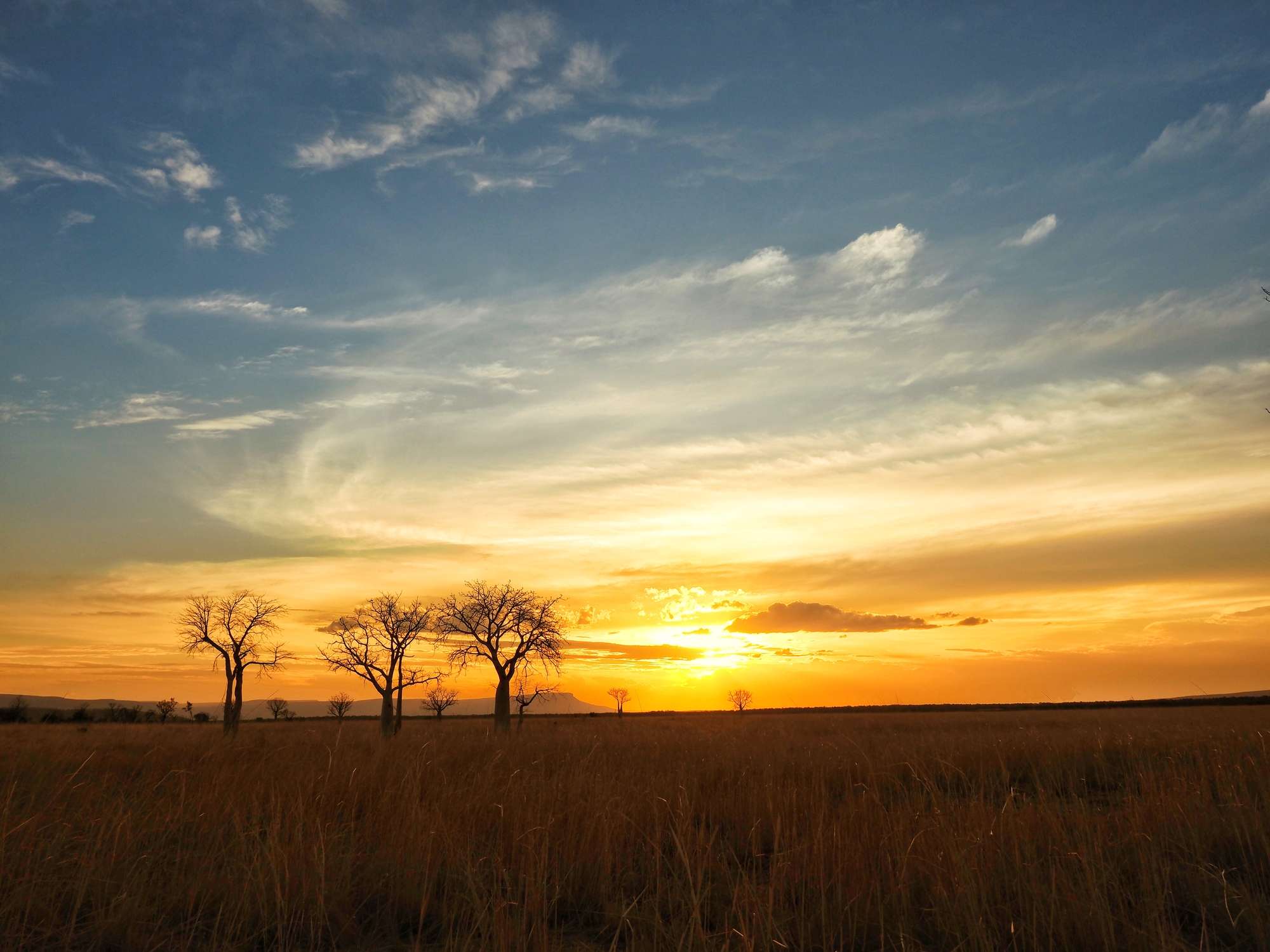 broome kimberleys coach bus tours broome kimberleys coach bus tours