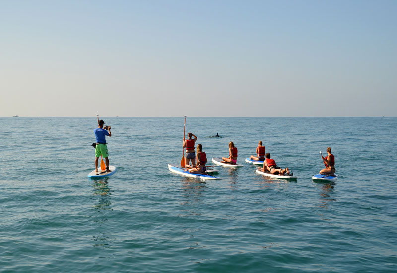 Stand Up Paddle Board Tours Stand Up Paddle Board Tours