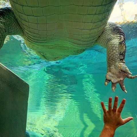 High fives