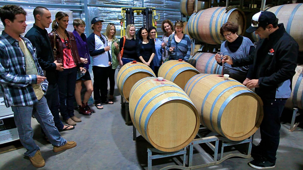 qiSLg_QD Interview with Wine for Dudes