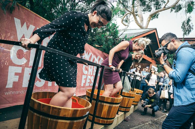 Williamstown Wine And Cheese Fest (part of MFWF)