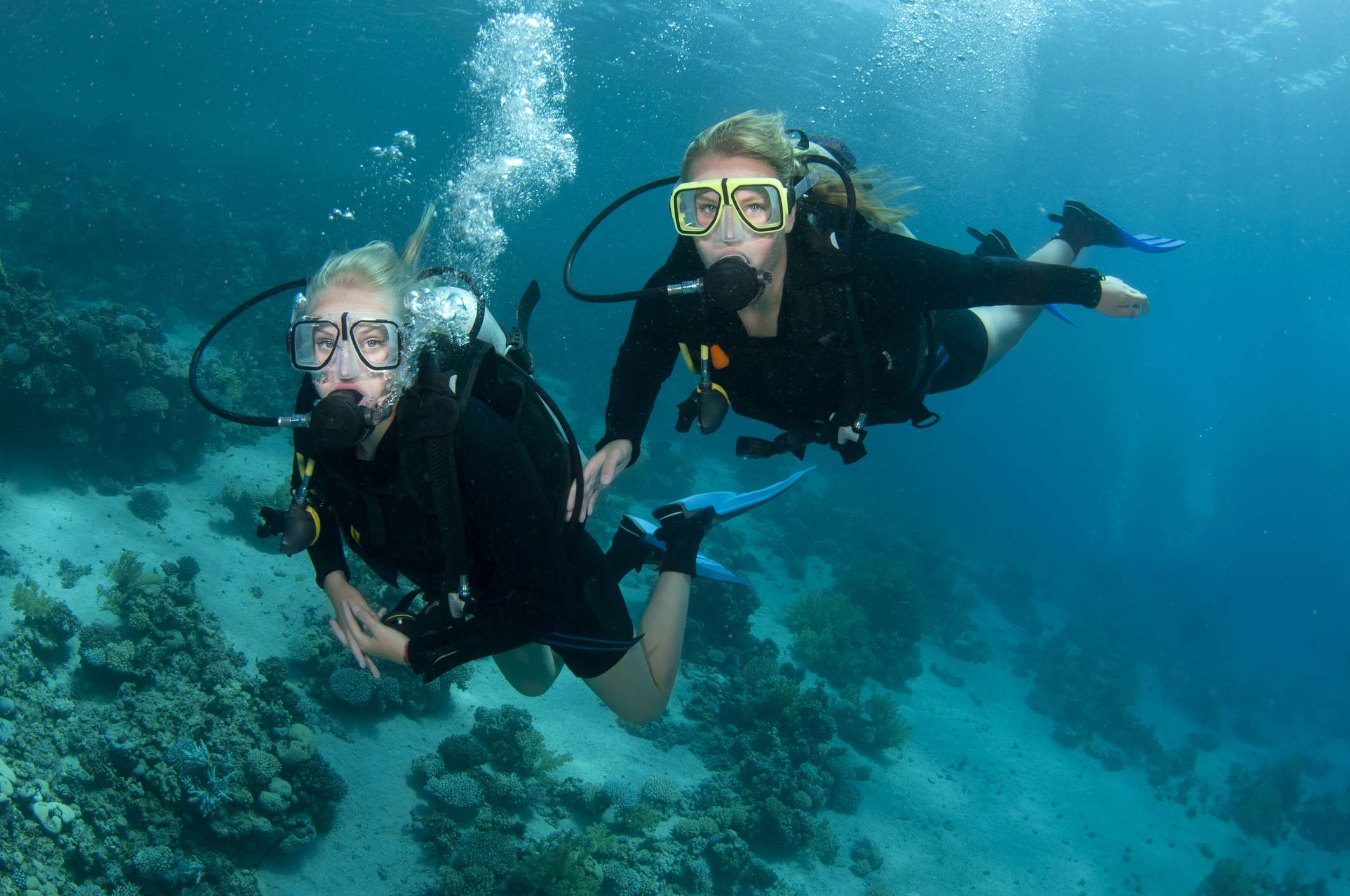 dive Best Places to Dive Near Perth and Surrounds