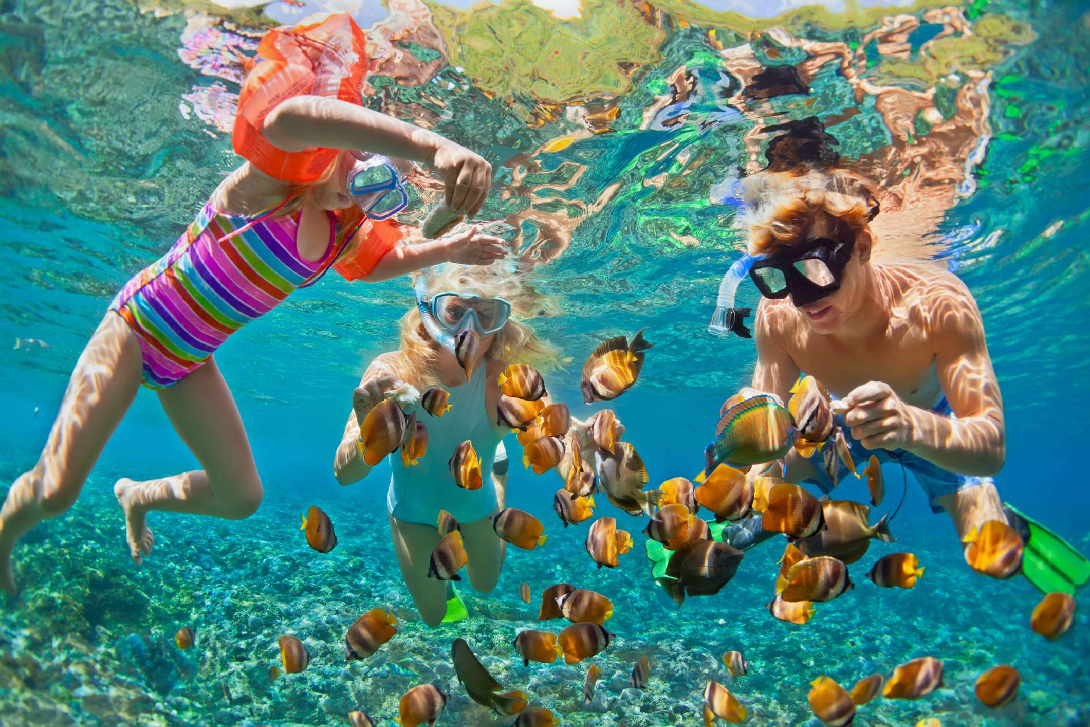 Best Places to Snorkel Near Perth
