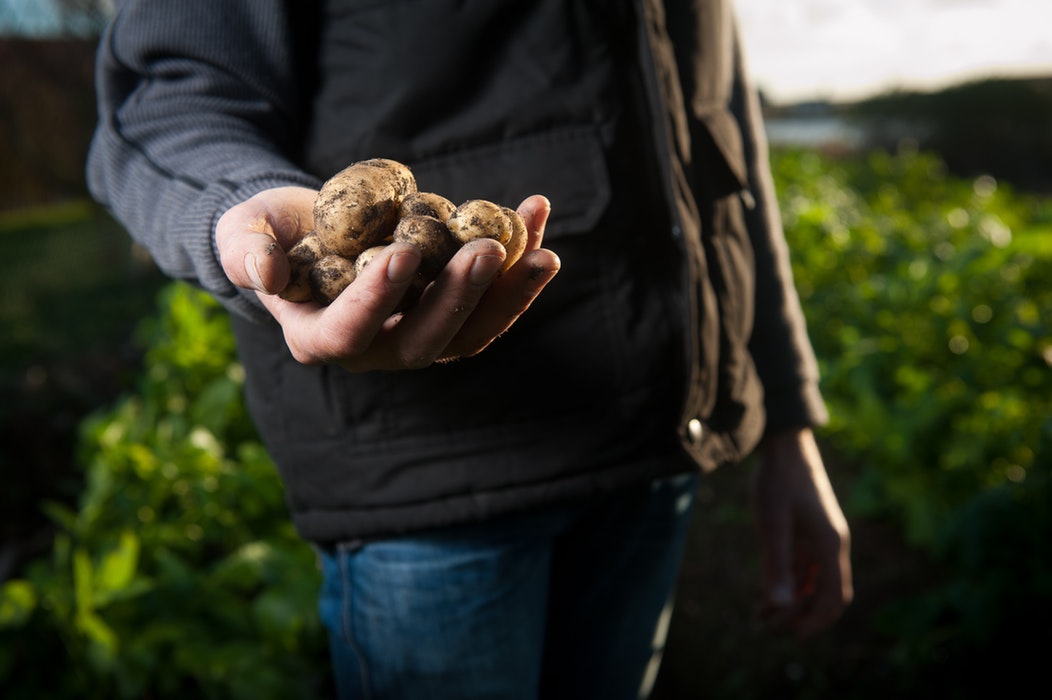 Farm jobs for working holiday visa holders Western Australia Farm jobs for working holiday visa holders Western Australia