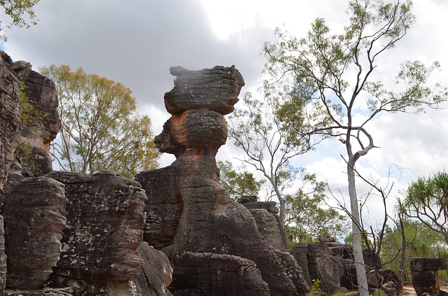 9 Day Perth to Broome Adventure West Australian Tours
