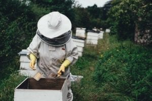 Farm Work Recruitment Companies
