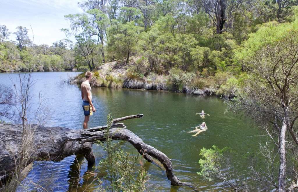 Day Trip From Perth to Margaret River in Western Australia