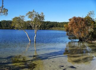 Gay and Lesbian-friendly Suburbs in Melbourne