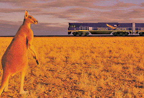 How To Get To Perth From Sydney By Train Or Road? How To Get To Perth From Sydney By Train Or Road?