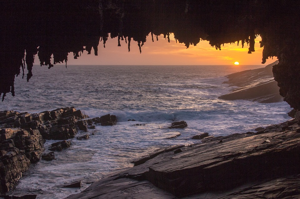 Kangaroos Island Tours Kangaroos Island Tours
