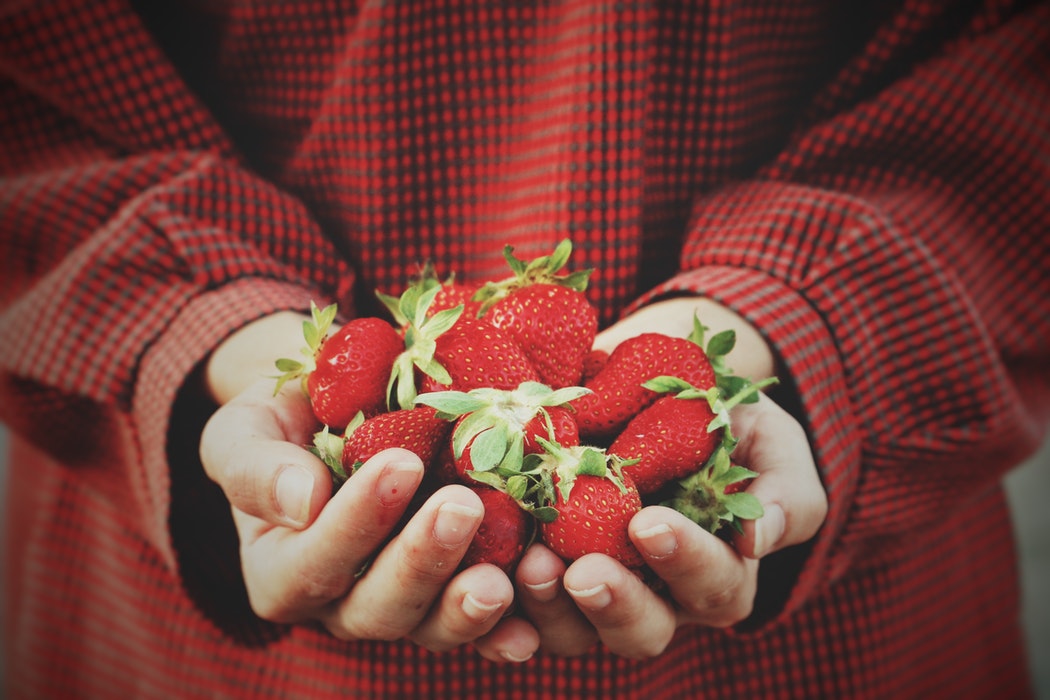 Backpacker Farming Jobs in Victoria Australia
