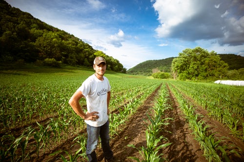 Farming Jobs Near me South Australia