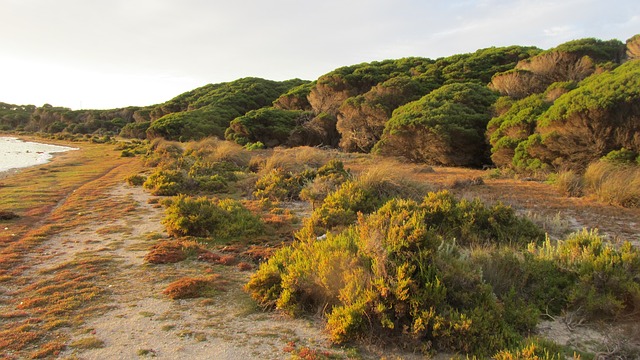 Places to Visit Near Perth WA Australia on a Day Trip