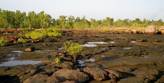 Australia’s Wild Wild West - Exploring on a Kimberley Adventure Tour Australia’s Wild Wild West - Exploring on a Kimberley Adventure Tour