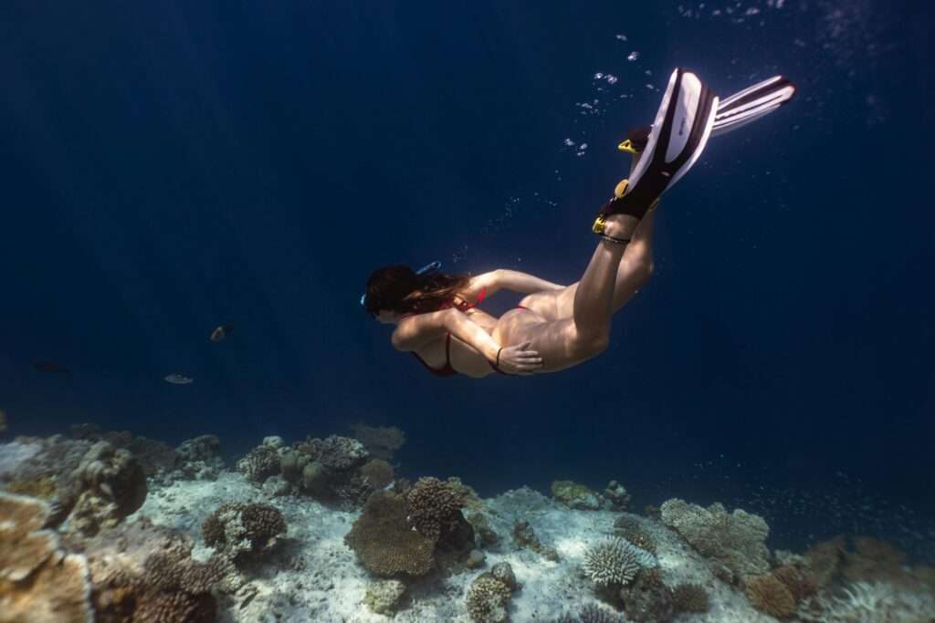 Whitsundays Snorkelling Tours